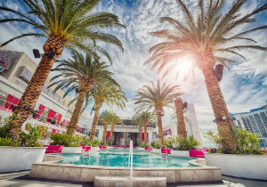 Vegas Investment Property